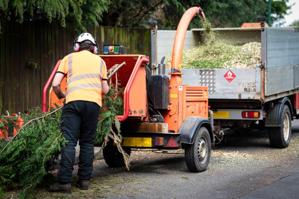 Tree Removal for Businesses in Smethport, PA